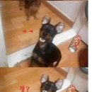 애지중지 이미지