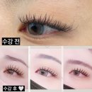 월천Salon | 대구 속눈썹 연장 수강/속눈썹 수강 잘하는 곳/대구 속눈썹 학원/대구 속눈썹 연장 잘하는 곳