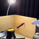 하니여인숙 이미지