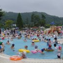 신정호야외수영장 이미지