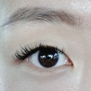 왕비속눈썹