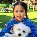 카페 개떼 이미지