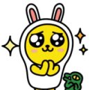 짐앤줌바 이미지