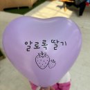 가우농장