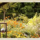 호숫가의 풍경 이미지