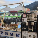 [별별클럽] 수수하게 만나요 | 고흥 별별마켓 참가 후기｜로컬브랜드 고담모담의 플리마켓 이야기