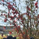 신랑각시결혼정보 이미지