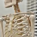 메디포레스트 필라테스 이미지