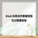 가야동물병원 - 북구 동문대로 131 | 가야동물병원
