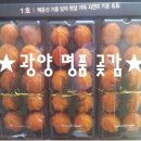 파란들농원 이미지
