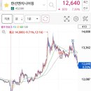 에스와이에스티