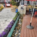 790 | [아라뱃길 브런치카페] 부모님도 반한 느끼함 없는 맛, 계양구 카페 '드림790' 후기