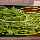 향긋농장 네이버블로그
