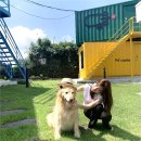 협재 정담 렌트하우스 이미지