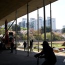 돌마교 아래 이미지