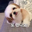 피자프라텔로 유성점 네이버블로그