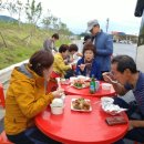 성공그린여행사