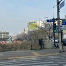 수제 다과 및 청 만들기 | 패티가 다양한 킨텍스맛집 ‘왓더버거 일산킨텍스점’ 방문 후기