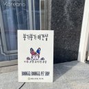 붕가붕가샵 이미지