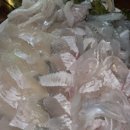 성진민박 이미지