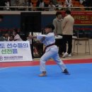 매화태권도장 이미지