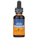 허브나무 이미지