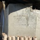 화령시장 이미지