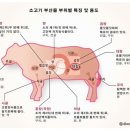 대창건어물 이미지