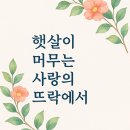 햇살이머무는