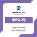 플러스원치과의원 네이버블로그