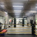 용인대NEW복싱 이미지