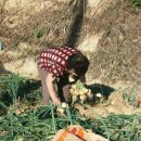 학선농장 이미지