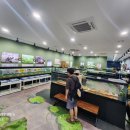 창녕우포곤충나라 이미지