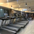 스파르타짐 이미지