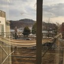 아담한가 이미지