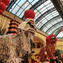 벨라지오 이미지