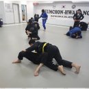 화랑 합기도 & 주짓수 이미지