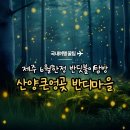 산양마을 | 제주 산양큰엉곶 반딧불이체험 반디마을 9시10분 방문후기와 꿀팁