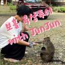 하나래농장 | [필리핀-보홀] 동물보러 보홀 육상투어 가자~!! with 준준(JunJun) 2편