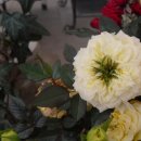 산정농원 이미지