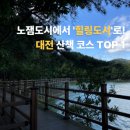 서귀포시청 북측4가 2 | 한 눈에 보는 걷기·러닝 25년11월3일