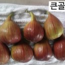 큰골농장 이미지