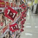 제3회 연장원/2024-2025 이미지