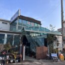 송이도몽돌 식당민박 | 금오도 안도 아침식당 밥집 추천 제일식당민박 오전에 아침 가능한 식당