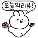 폴인럽제주 이미지