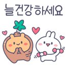 써니바디핏