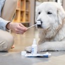 연희동물병원 이미지