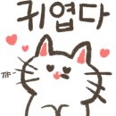 호양집