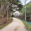 팔공산왕건길 1코스 이미지