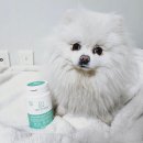 펫츠밀 | 강아지 영양제 펫클럽 한삼인 펫츠밀 후기